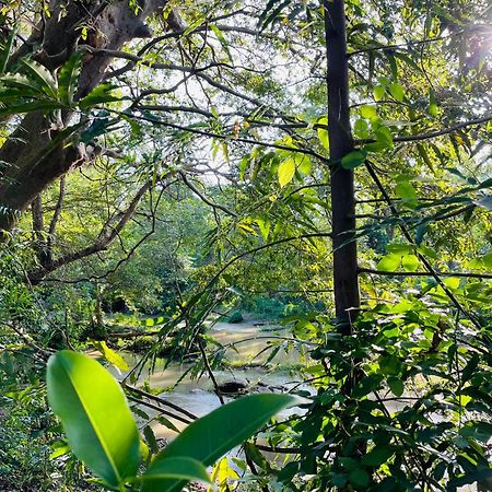 Yala Safari River View Hotel ทิซซามาฮารามา ภายนอก รูปภาพ