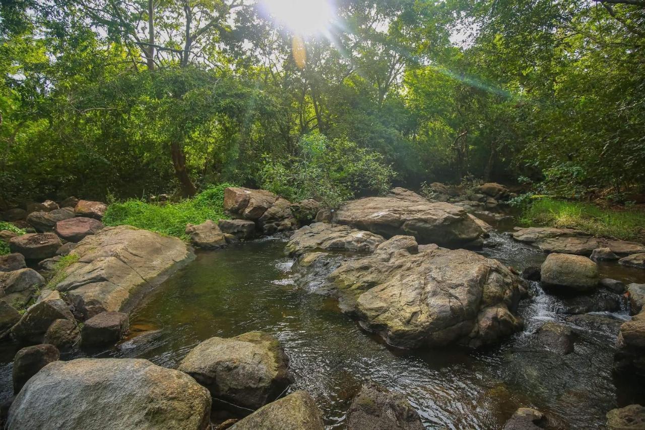 Yala Safari River View Hotel ทิซซามาฮารามา ภายนอก รูปภาพ
