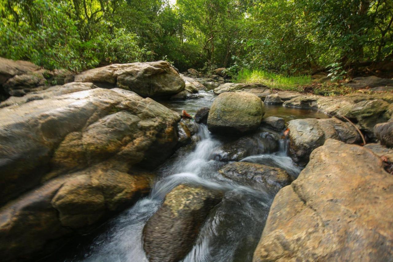 Yala Safari River View Hotel ทิซซามาฮารามา ภายนอก รูปภาพ