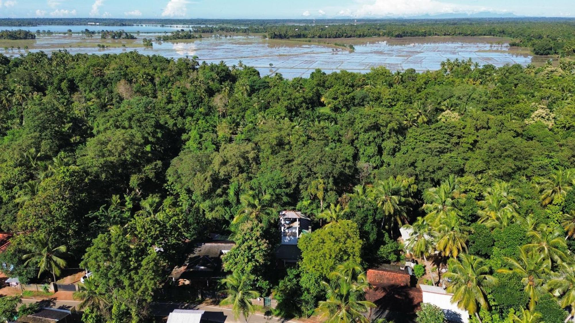 Yala Safari River View Hotel ทิซซามาฮารามา ภายนอก รูปภาพ