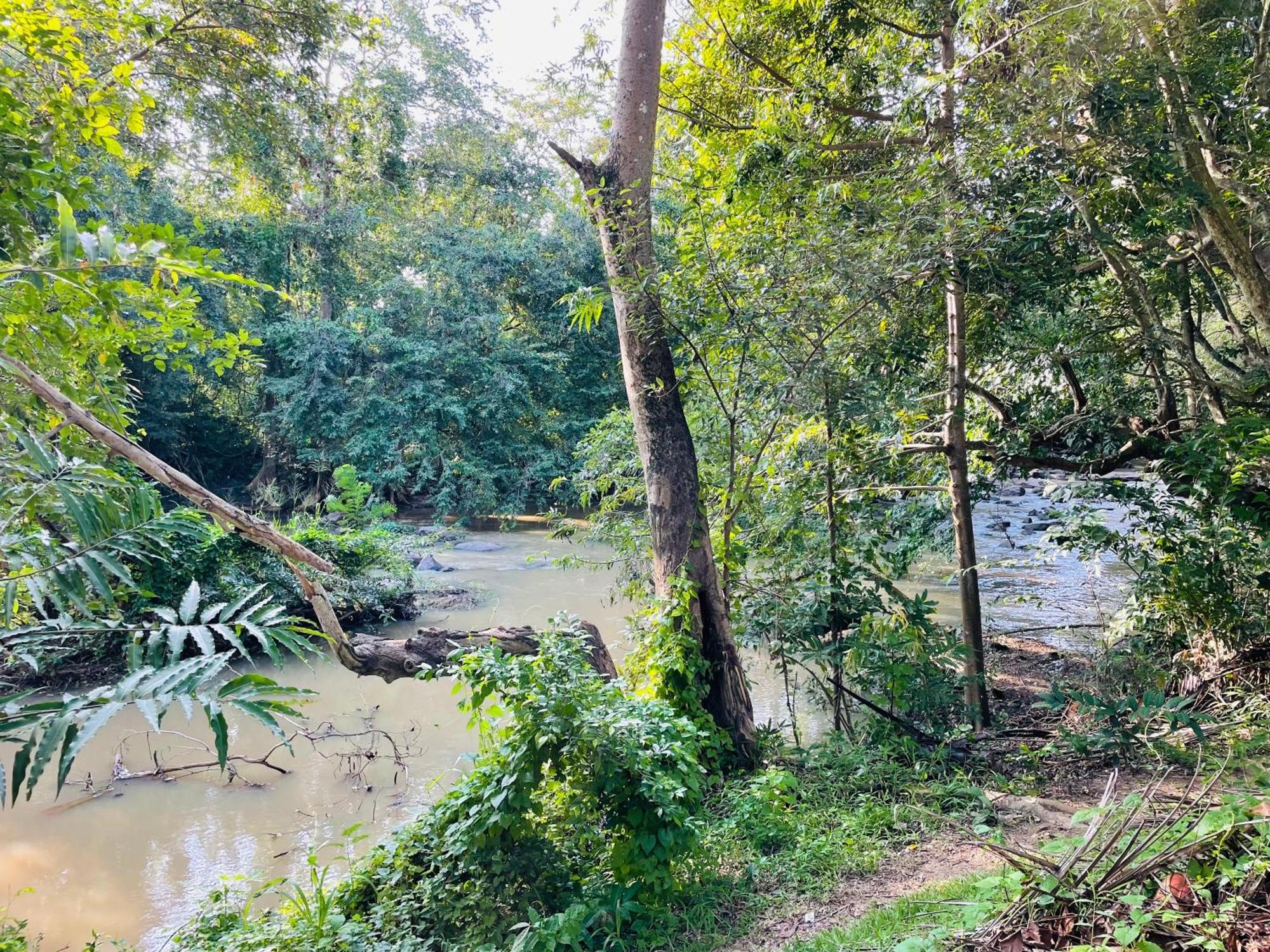 Yala Safari River View Hotel ทิซซามาฮารามา ภายนอก รูปภาพ