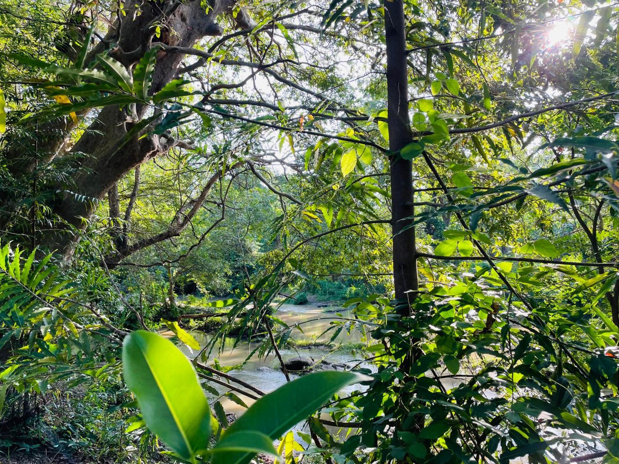 Yala Safari River View Hotel ทิซซามาฮารามา ภายนอก รูปภาพ