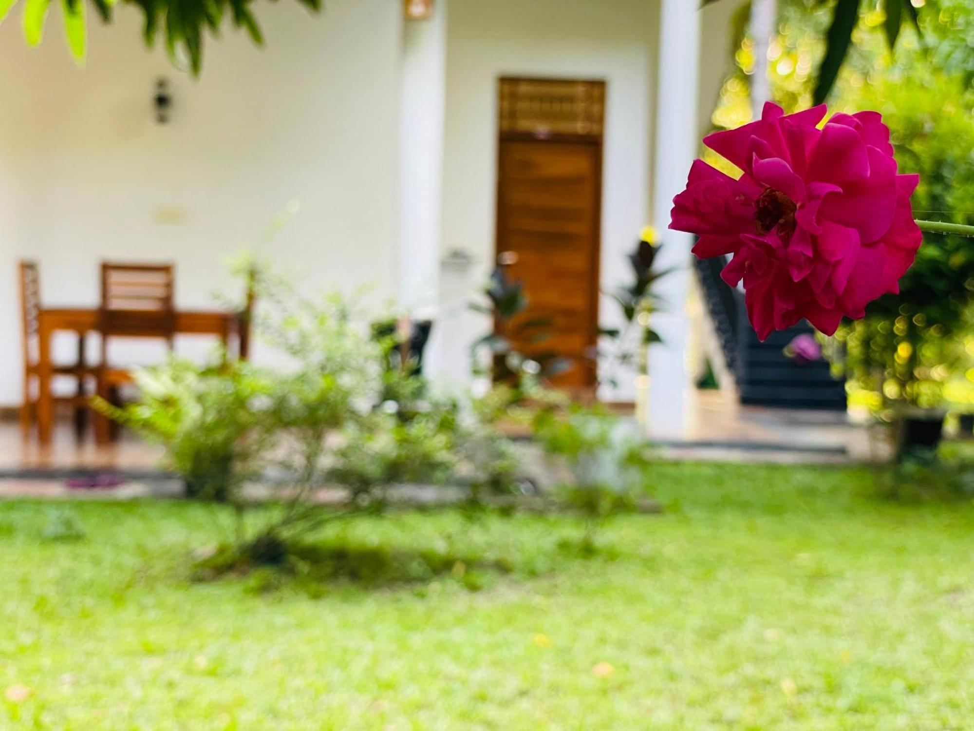 Yala Safari River View Hotel ทิซซามาฮารามา ภายนอก รูปภาพ