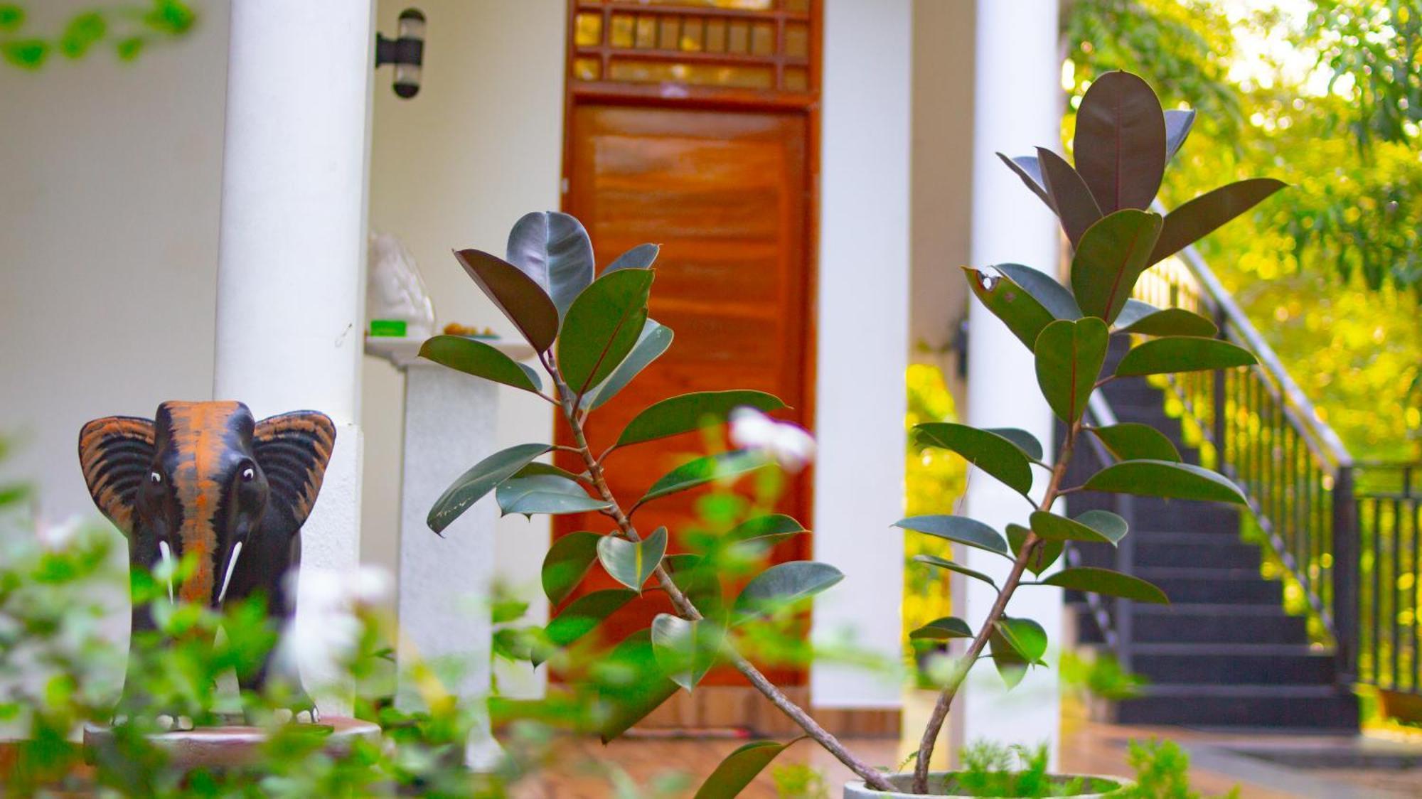 Yala Safari River View Hotel ทิซซามาฮารามา ภายนอก รูปภาพ